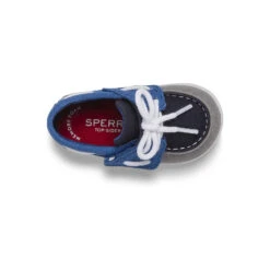Sperry Top-Sider Little Kid's Intrepid Crib Boat Shoe Grey/Blue 12 Sperry Top-Sider Little Kid's Intrepid Crib Boat Shoe Grey/Blue -Sperry Top-Sider Sales SCI264989 05