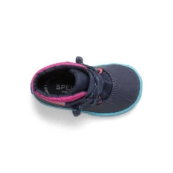 Sperry Top-Sider Little Kid's Icestorm Crib Boot Navy Multi 16 Sperry Top-Sider Little Kid's Icestorm Crib Boot Navy Multi -Sperry Top-Sider Sales STI166593 TOP