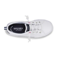 Sperry Top-Sider Big Kid's Pier Wave Sneaker White 10 Sperry Top-Sider Big Kid's Pier Wave Sneaker White -Sperry Top-Sider Sales STK SCK163656 PierWave 100219 AW20 05