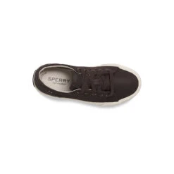 Sperry Top-Sider Big Kid's Striper II LTT Sneaker Kahlua -Sperry Top-Sider Sales STK STK262033 StiperIILTT 120418 AW19 05 75