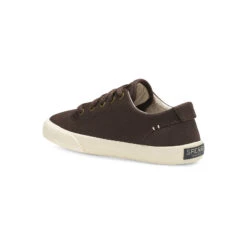 Sperry Top-Sider Big Kid's Striper II LTT Sneaker Kahlua -Sperry Top-Sider Sales STK STK262033 StriperIILTT 120418 AW19 02 75