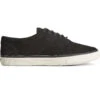 Sperry Top-Sider Men's Striper PLUSHWAVE™ CVO Sneaker Black -Sperry Top-Sider Sales STS24725 000