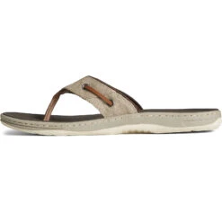 Sperry Top-Sider Men's SeaCycled™ Baitfish Baja Flip Flop Taupe -Sperry Top-Sider Sales STS25229 180