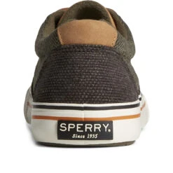 Sperry Top-Sider Men's Seacycled™ Striper Storm CVO Sneaker Olive -Sperry Top-Sider Sales STS25466 90