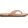 Sperry Top-Sider Women's Waveside PLUSHWAVE™ Flip Flop Brown -Sperry Top-Sider Sales STS86127 000